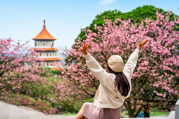 Young female tourist relaxing and enjoying the beautiful cherry blossom at Wuji Tianyuan temple in Taiwan