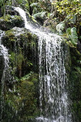 Waterfall on moss and green 