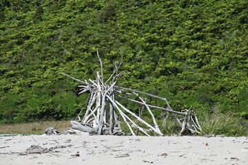 Beach driftwood structure