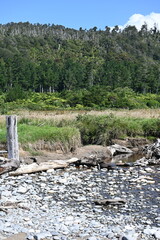 Rocky stream and hillside 