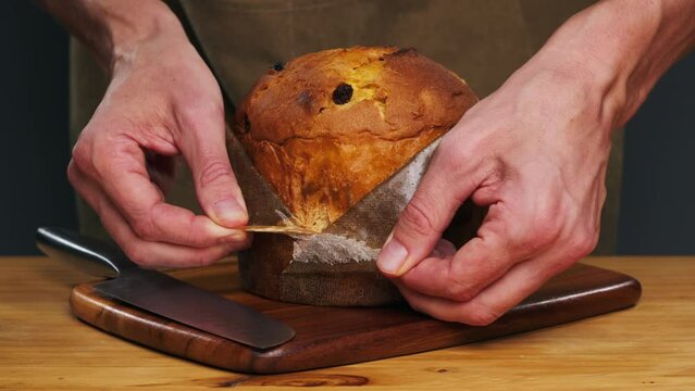 Traditional English Christmas cake tied with a jute thread on the black background. Italian classic Panettone .Pastry Chef sprinkles powdered sugar through a sieve on the fruit Easter cake with