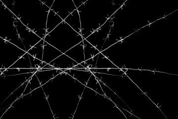 Old security barbed wire isolated on black background. Sharp military security fence. Closeup image. crossed Lines of barbed wire on black background. concentration camp