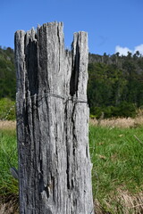 old wooden post