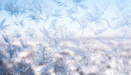 Frosted Window Artistry