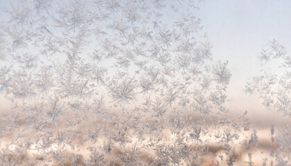 Obraz premium Delicate Frost Splendor