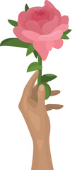 Hand holding a rose vector image