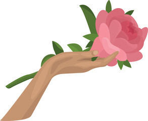 A rose lies in the palm of your hand vector image