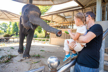 A man with little daughter feeding elephant , travel concept. Thailand, Asia