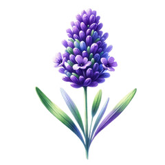 Vibrant Watercolor Lavender - Isolated Transparent Design