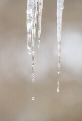How winter icicles melt in winter