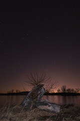 Old oak tree on pond shore under starry night sky. Czech astronomy landscape