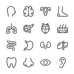 set of icons human organs - obrazy, fototapety, plakaty