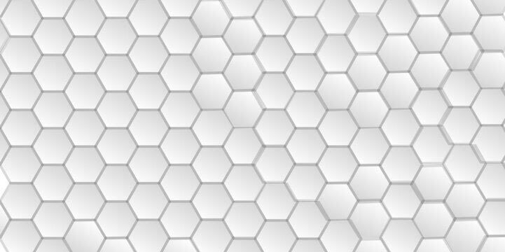 Abstract white 3d hexagonal polygonal pattern background vector. seamless bright white abstract honeycomb backdrop decoration geometric cell web concept tile and texture background. © MOHART PARK