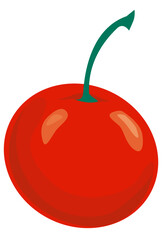 red ripe cherry vector illustration