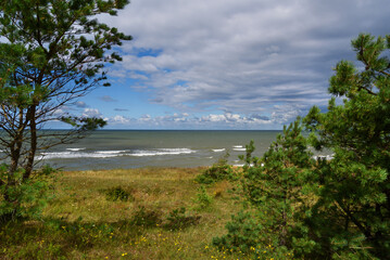 Baltic sea coast. - 723669483