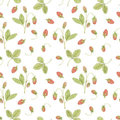 Watercolor strawberry seamless pattern. Botanical background with red berries fruits. For printing paper, wallpaper, covers, scrapbooking, textiles.