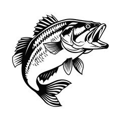 Bass fish, sea animal logo, vector illustration