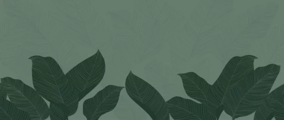 Fotobehang Abstract foliage botanical background vector. Green wallpaper of tropical plants, leaf branches, leaves, line art. Foliage design for banner, prints, decor, wall art, decoration. © TWINS DESIGN STUDIO