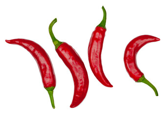 Pepper bitter isolated on a white background , top view