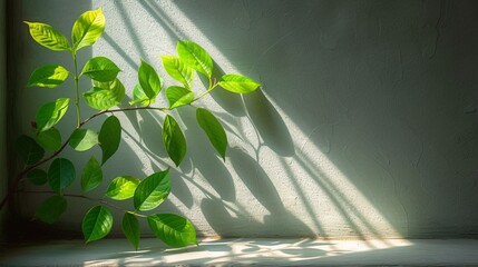 Blooming Buds in the Sunlight: A Refreshing Springtime Scene Generative AI