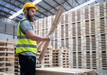 Confident production worker busy working at lumber warehouse of wooden furniture factory. Skilled technician wears safety hardhat standing in hardwood plank manufacturing facility using serious tool.
