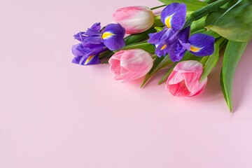 Bouquet of pink tulips and irises on pink background. Greeting card for mother's day, women's day...