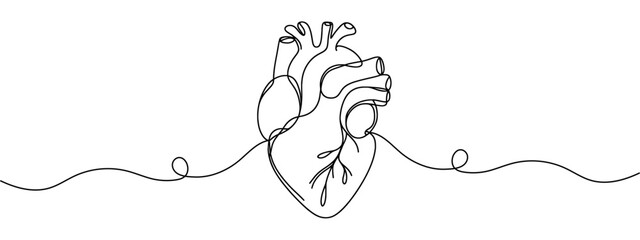 One continuous line drawing of anatomical human heart organ. Medical internal anatomy concept. Modern single line draw trendy design vector illustration - obrazy, fototapety, plakaty