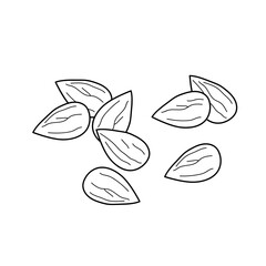 Fototapeta premium Almond. Coloring page, icon, black and white vector illustratio