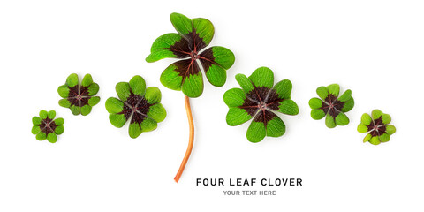 Green four leaf clover banner isolated on white background..