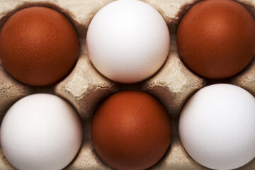 Brown and white eggs in carton on white with clipping path