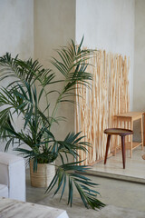 The room is eco-style. Lots of light, straw and wooden accessories. Minimalism and simplicity - 723705865