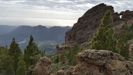 Fototapeta premium Towering mountains stretched across the horizon, their peaks shrouded in mist. The foreground was dotted with trees, their leaves shimmering in the sunlight.