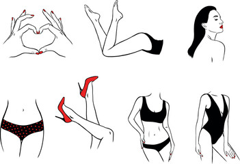 Woman body vector icons, graphics, elegant feminine, legs, hands, fashion style, beauty model line art minimal illustration