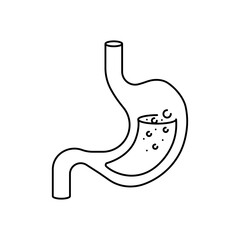 Stomach icon. Linear style. Vector icon