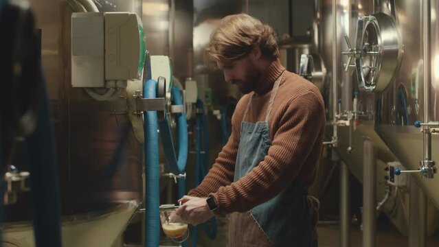 Medium shot of Caucasian bearded brewery technician wearing denim apron pouring glass of freshly brewed lager from fermenter tank