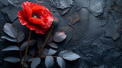 Red Poppy Flower on Black Marble: A Timeless Classic for Spring Generative AI