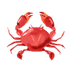 Watercolor acrylic gouache hand drawn crab. Seafood painted isolated vector illustration - 723715649