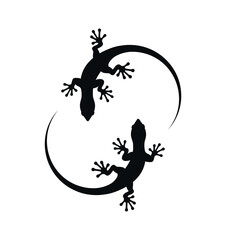 Two lizards gecko silhouettes, eps 10