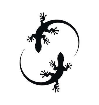 Two lizards gecko silhouettes, eps 10