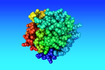 Human tryptophan hydroxylase 1 in complex with inhibitor. Space-filling molecular model based on protein data bank entry 8cjn. Rainbow coloring from N to C. 3d illustration