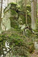 Landscape with picturesque rocks in the forest. Table mountains in Poland