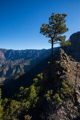 Fototapeta na wymiar Young woman summit to Bejenado Peak in Caldera de Taburiente, La Palma, Spain