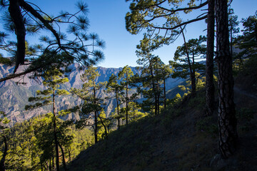 Landscape in Bejenado Peak in Caldera de Taburiente, La Palma, Spain