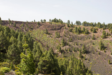 Fototapeta na wymiar Scene of the Birigoyo peak, La Palma Island, Canary Islands.