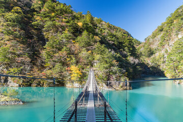 日本　静岡県川根本町、寸又峡の夢の吊り橋と仄かに紅葉した木々 - obrazy, fototapety, plakaty