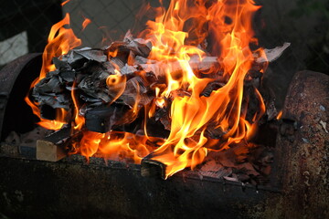 burning wood and paper. firewood is burning. tongues of flame. orange flame. bonfire. wood-fired...