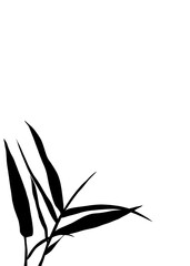 Black Silhouette of Bamboo Leaves on Isolated  Background. Black shadows illustration of bamboo leaf, perfect for a peaceful and natural themed graphic element.