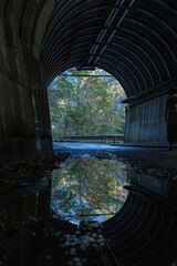 日本　静岡県川根本町の寸又峡の夢の吊り橋に続くトンネル