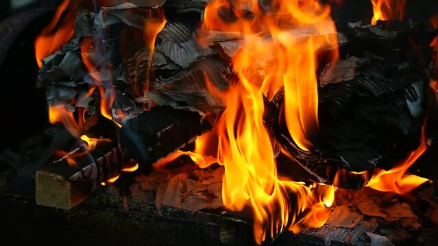 burning wood and paper. firewood is burning. tongues of flame. orange flame. bonfire. wood-fired cooking. firewood is burning for cooking barbecue