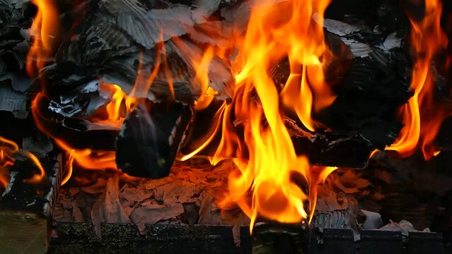 burning wood and paper. firewood is burning. tongues of flame. orange flame. bonfire. wood-fired cooking. firewood is burning for cooking barbecue